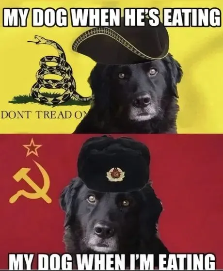 My Dog When He's Eating