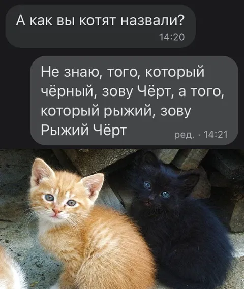 Рыжий Чёрт и Чёрный Чёрт