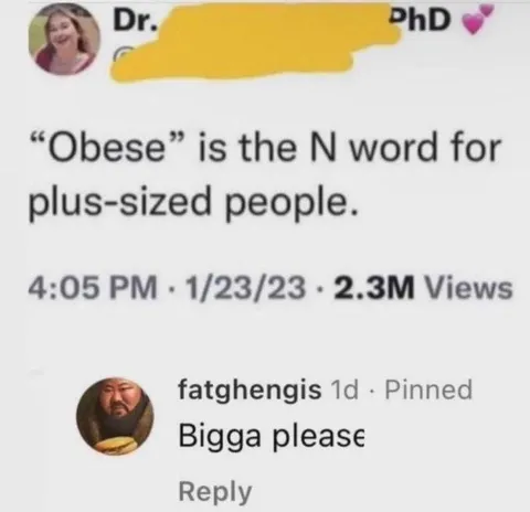 Obese Is the N Word