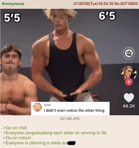 Everyone Is Winning in Life