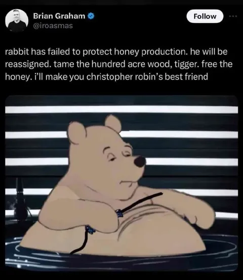 Winnie Pooh Reassigns Rabbit