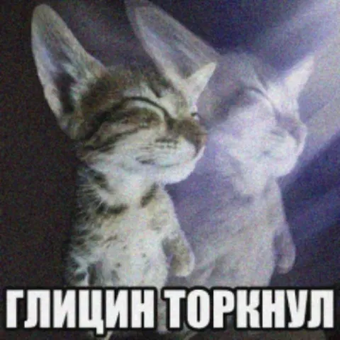 Глицин торкнул котят