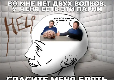 Во мне нет двух волков