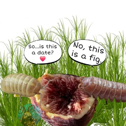 Is This a Date?
