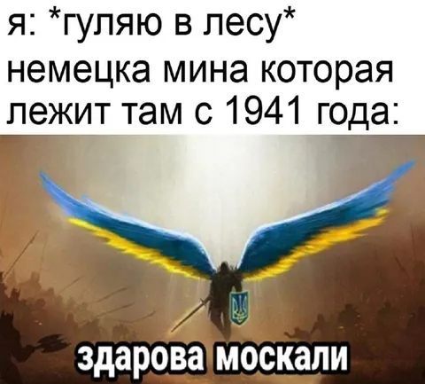 Мина из леса с 1941 года