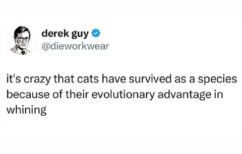 Cats Survived by Whining