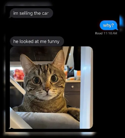 Selling the Car Because He Looked Funny