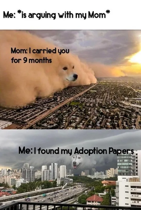 Arguing With Mom About Adoption