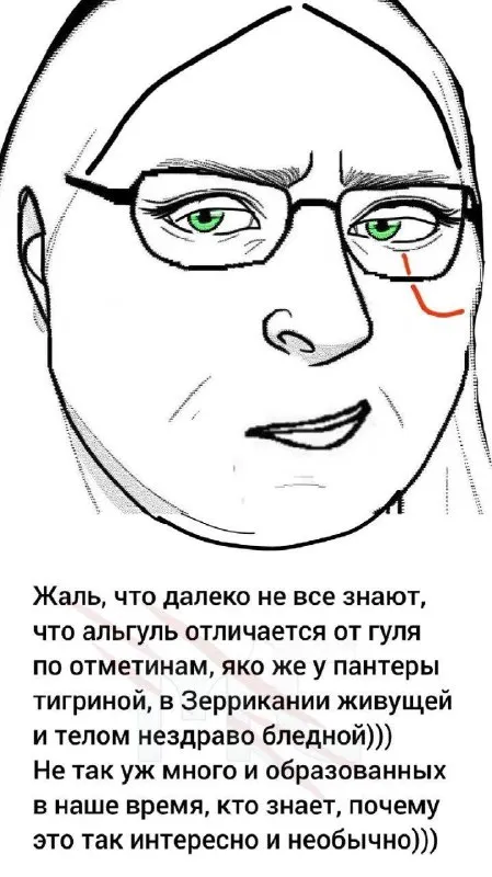 Пантера с тигриными отметинами