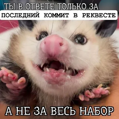 Последний коммит в реквесте