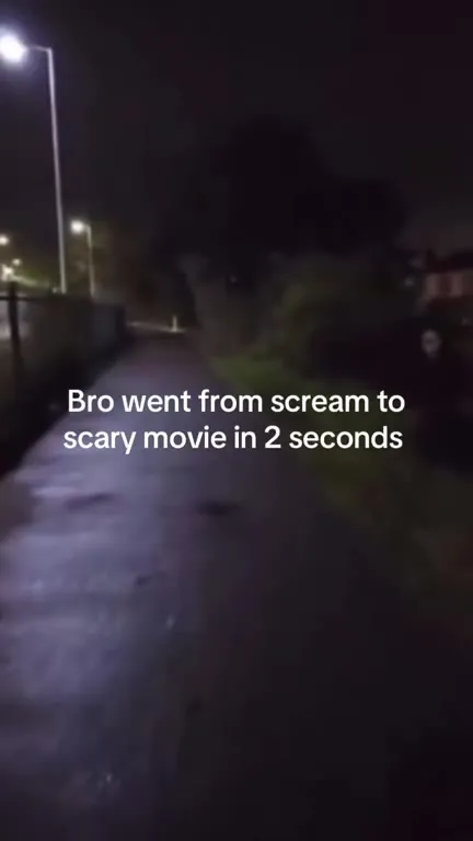 Bro Went From Scream to Scary Movie