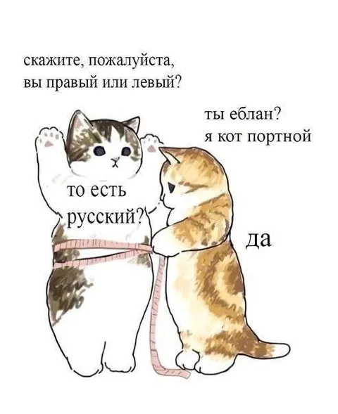 Я кот портной