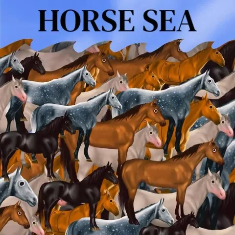 Horse Sea Horse Crowd