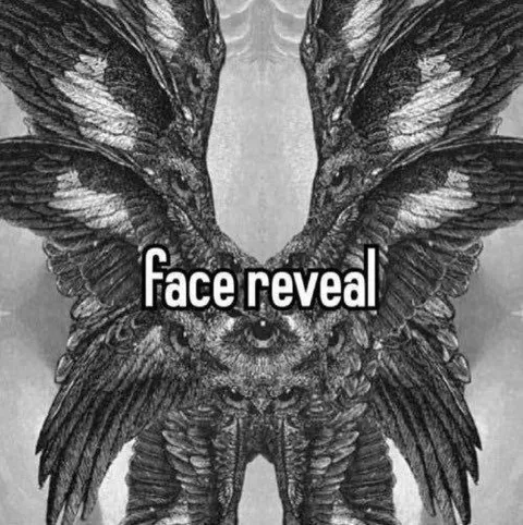 Owl Face Reveal
