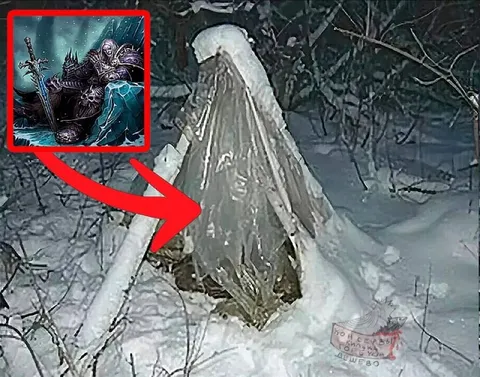 Ледяной рыцарь в снегу