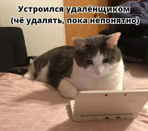 Удалёнщик не знает, что удалять