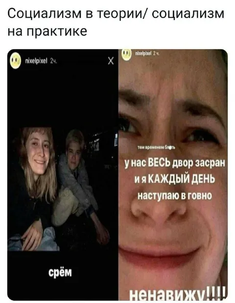 Социализм в теории и практике