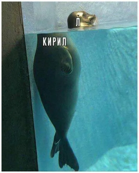 Кирилл и загадочная Л