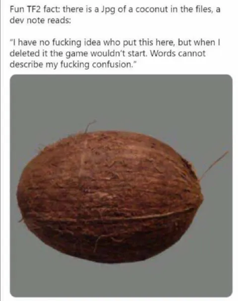 TF2 Coconut File Confusion