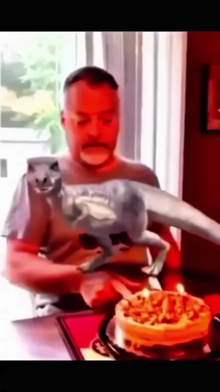 Кот не отдаёт торт