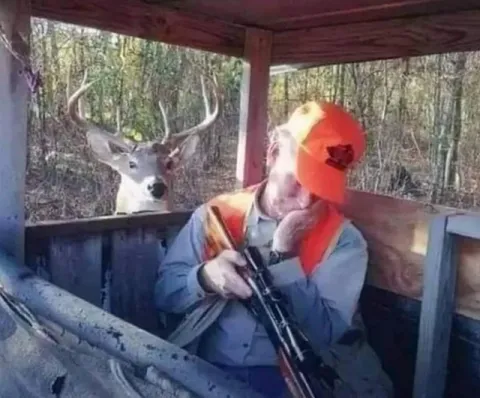 Спящий охотник и олень