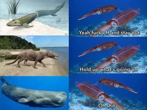 Evolution Takes a Wrong Turn
