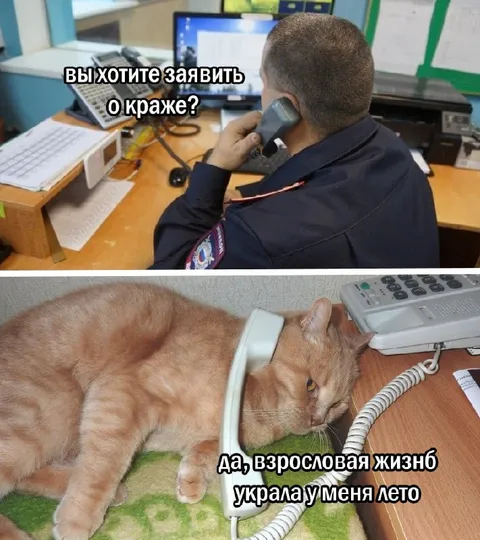 Взрослая жизнь украла лето