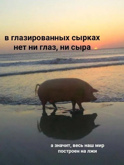 Мир построен на лжи