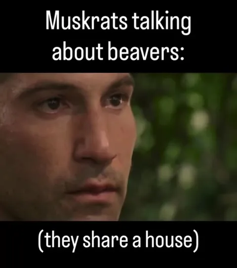 Muskrat and Beaver Best Friends