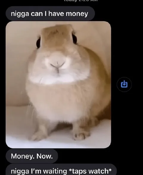 Rabbit Demands Money Now