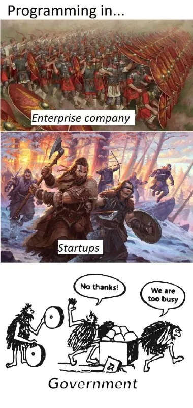 Programming in Enterprise Startups Government