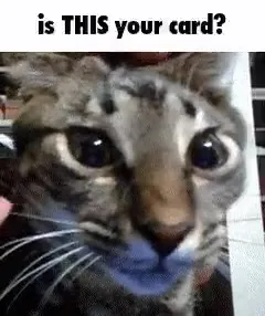 Is This Your Card Cat