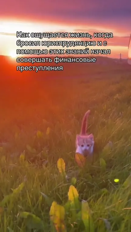 Жизнь после юриспруденции
