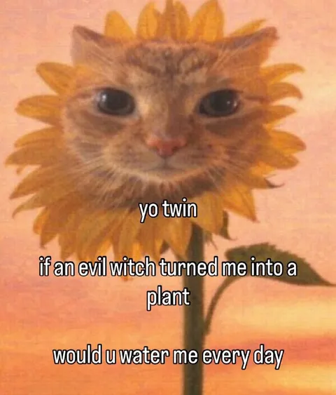Cat Sunflower Twin