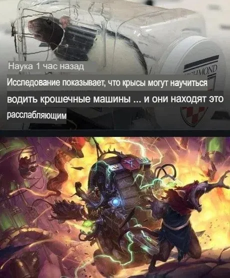 Крысы находят вождение расслабляющим