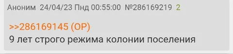 9 лет строгого режима