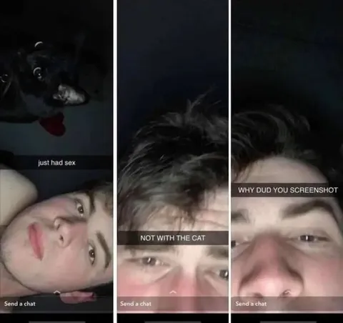 Not With the Cat