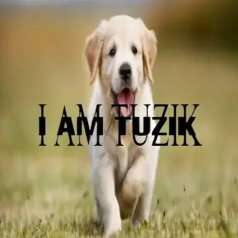 I Am Tuzik Dog