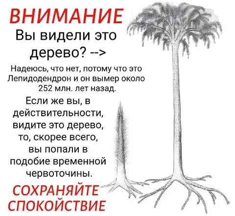 Лепидодендрон из временной червоточины