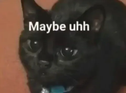 Maybe Uhh Black Cat