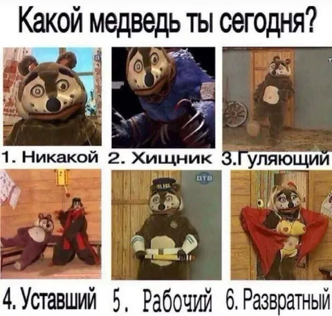 Какой медведь ты сегодня