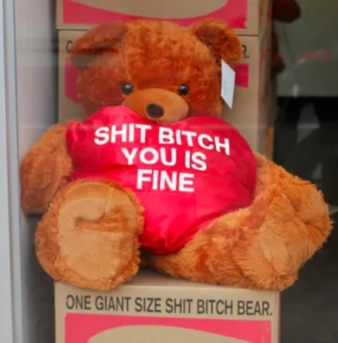 Shit Bitch You Is Fine Bear