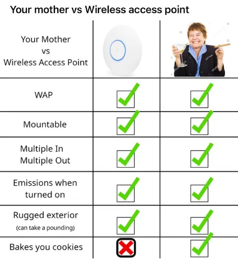 Your Mother vs Wireless Access Point