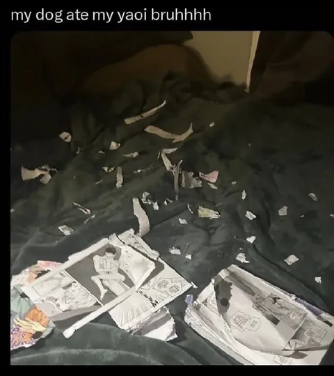 My Dog Ate My Yaoi