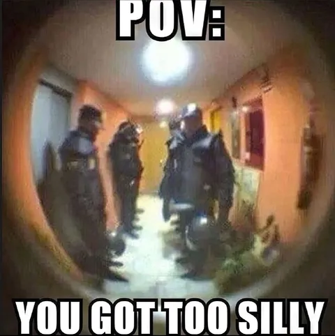 POV: You Got Too Silly