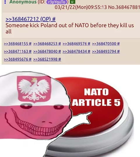 Poland and NATO Article 5