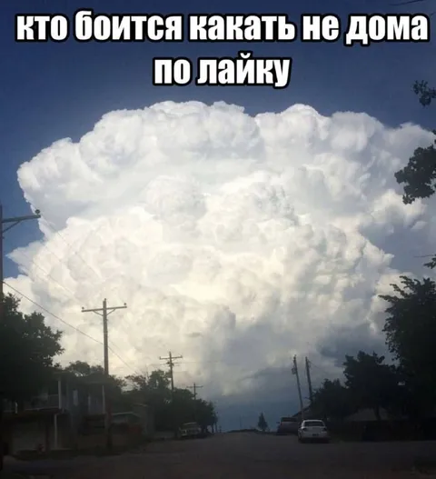 Кто боится какать не дома