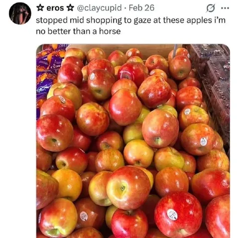 Stopped to Gaze at Apples