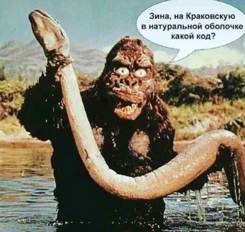 Код на краковскую в натуральной оболочке