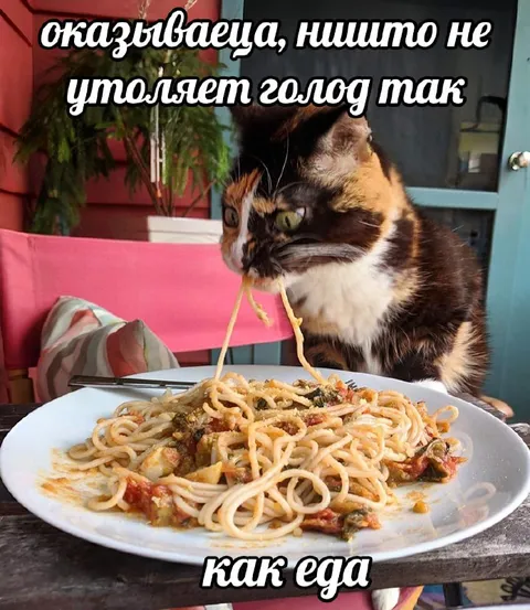 Ничто не утоляет голод так
